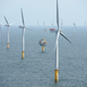 Illustration for article titled Offshore Wind Farms Are Turning Into Artificial Reefs